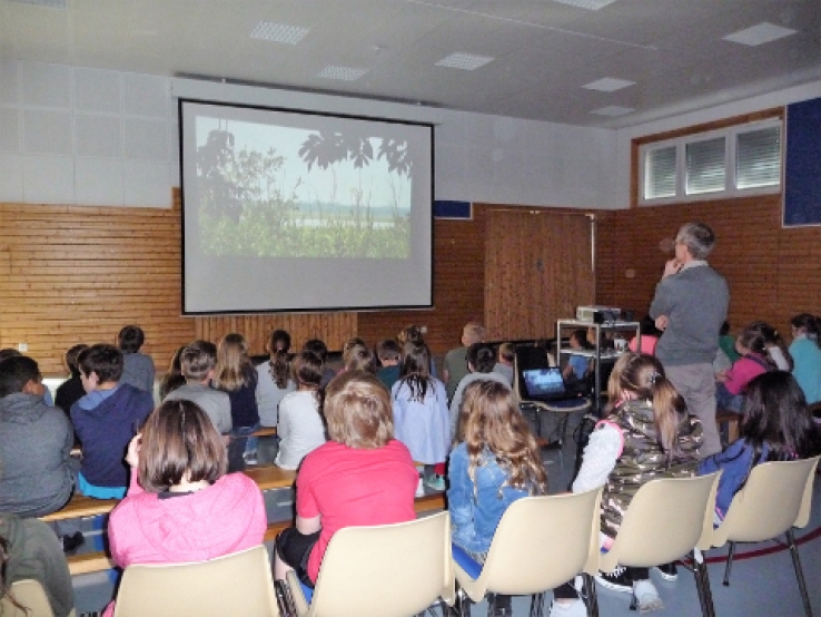 Presentation of our work in primary school Gerbach