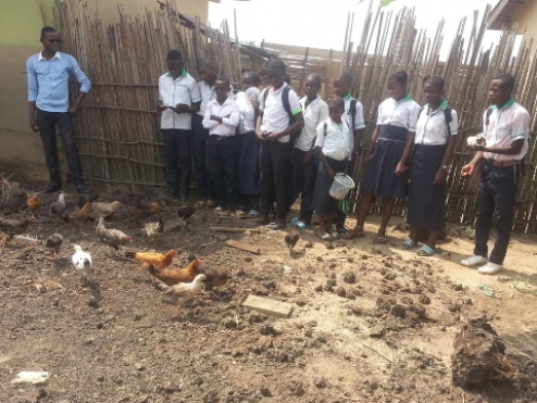 Le projet agricole de Mabala contribue à l&#039;entretien de l&#039;école